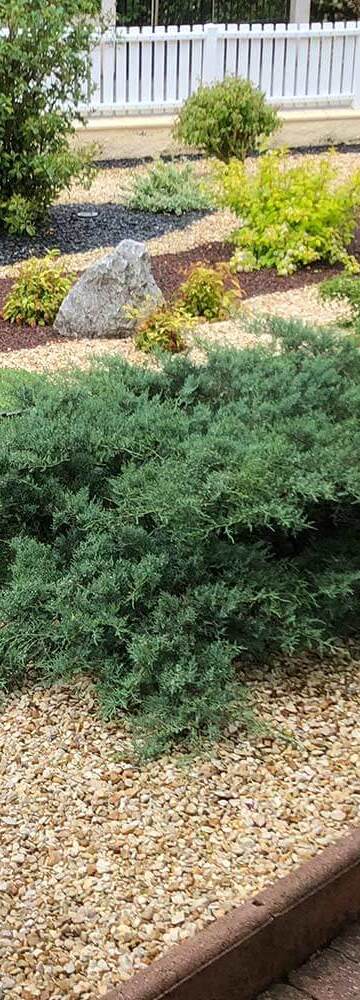 Demandez votre devis pour la création de votre jardin