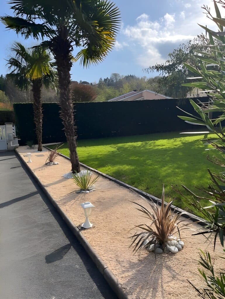 Jardin ensoleillé avec palmiers et pelouse verte Allée dallée longeant un jardin ensoleillé avec deux palmiers, une haie sombre et une pelouse verte en arrière-plan.