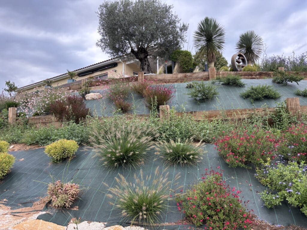 Aménagement jardin en pente : plantes, gabions bois Jardin en pente aménagé avec des gabions en bois, plantes fleuries (dont des sauges roses et violettes) et graminées, sous un ciel gris.